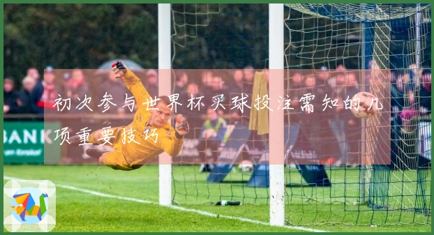 初次参与世界杯买球投注需知的几项重要技巧