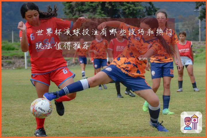 世界杯滚球投注有哪些技巧和热门玩法值得推荐
