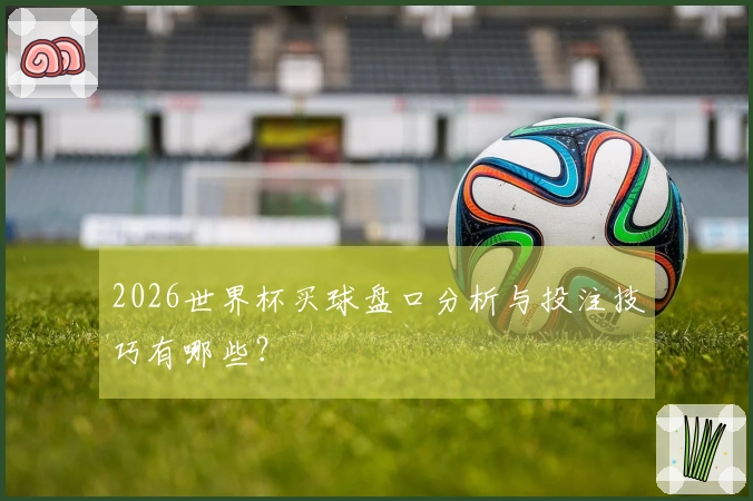 2026世界杯买球盘口分析与投注技巧有哪些？