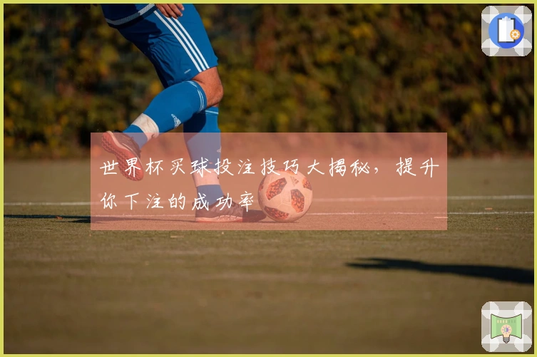 世界杯买球投注技巧大揭秘，提升你下注的成功率
