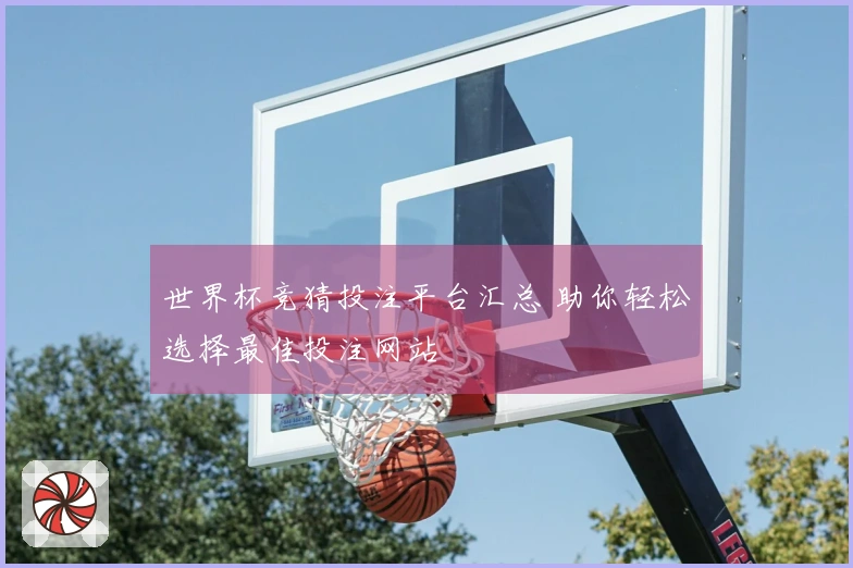 世界杯竞猜投注平台汇总 助你轻松选择最佳投注网站