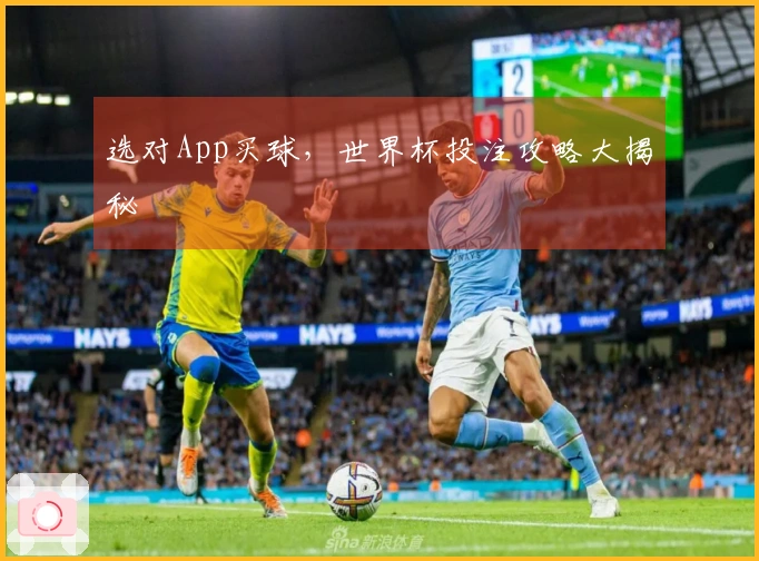 选对App买球，世界杯投注攻略大揭秘