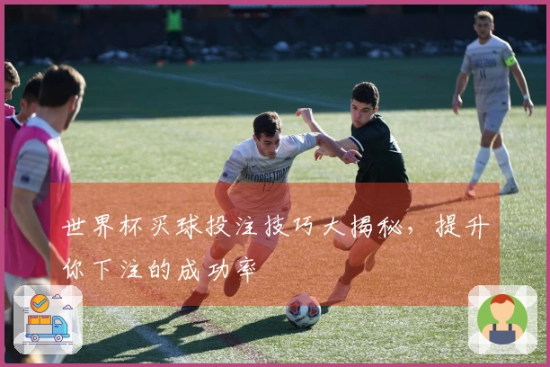 世界杯买球投注技巧大揭秘，提升你下注的成功率