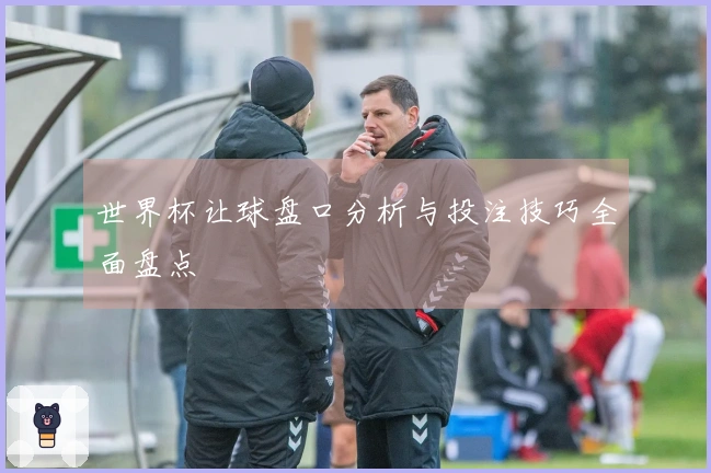 世界杯让球盘口分析与投注技巧全面盘点