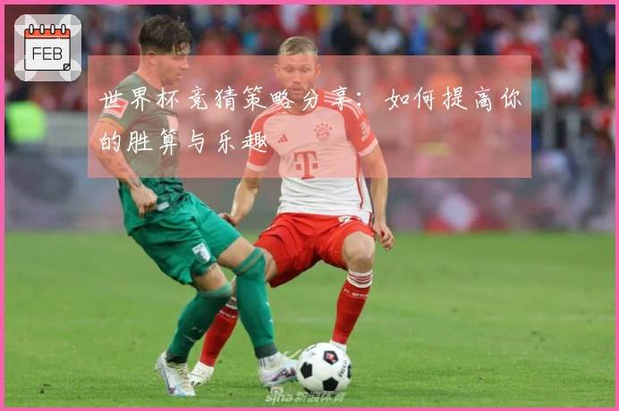 世界杯竞猜策略分享：如何提高你的胜算与乐趣