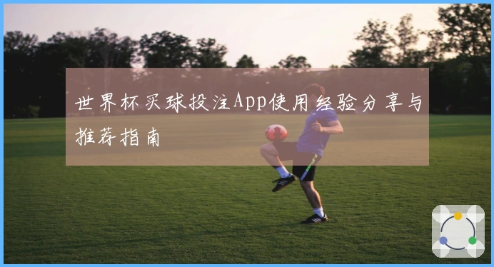 世界杯买球投注App使用经验分享与推荐指南