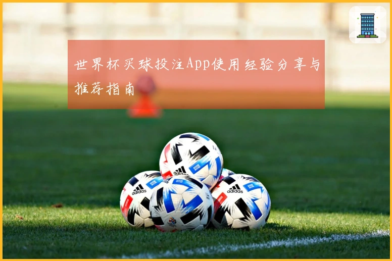 世界杯买球投注App使用经验分享与推荐指南