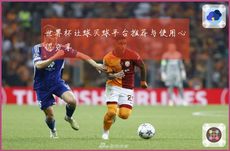 世界杯让球买球平台推荐与使用心得分享