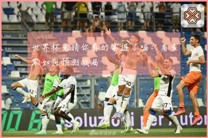 世界杯竞猜你真的掌握了吗？看专家如何预测战局