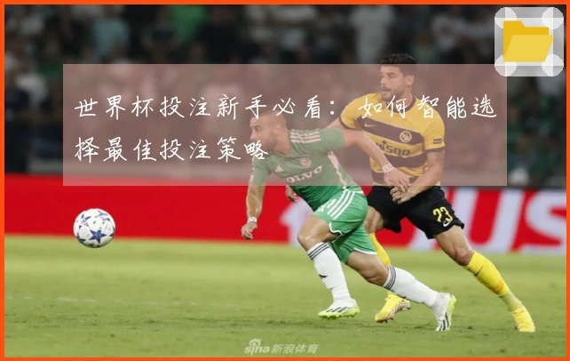 世界杯投注新手必看：如何智能选择最佳投注策略