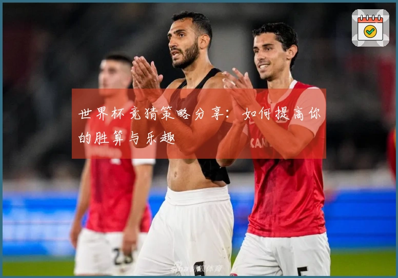 世界杯竞猜策略分享：如何提高你的胜算与乐趣