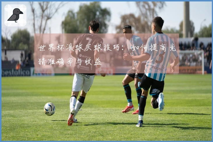 世界杯滚球买球技巧：如何提高竞猜准确率与收益