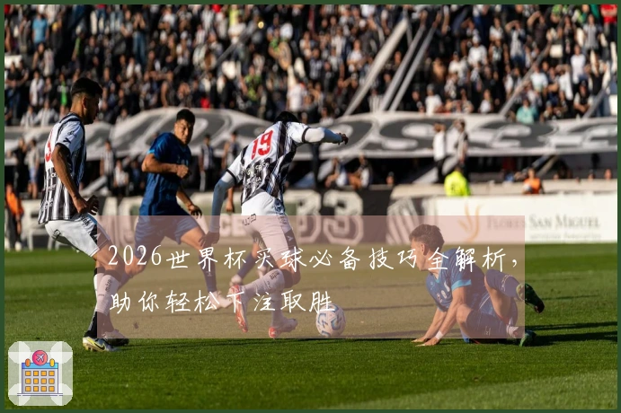 2026世界杯买球必备技巧全解析，助你轻松下注取胜