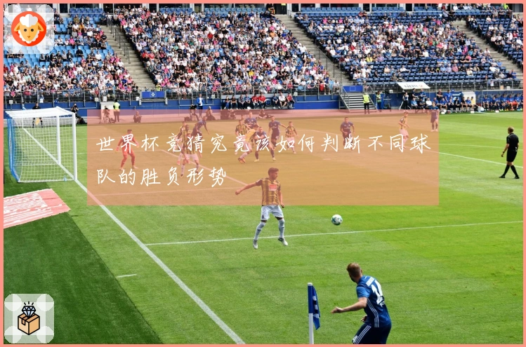 世界杯竞猜究竟该如何判断不同球队的胜负形势
