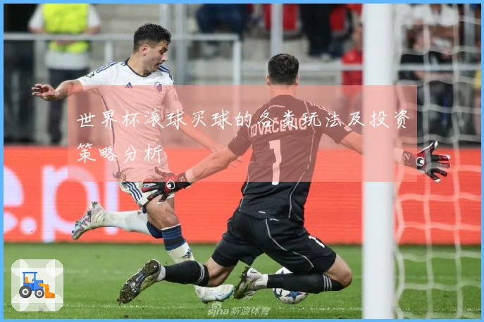 世界杯滚球买球的各类玩法及投资策略分析